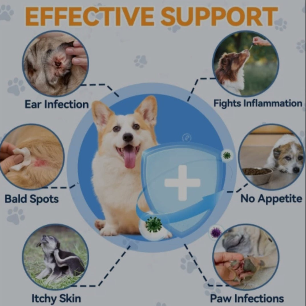 MedyDOGS - Yeast Infection Relief for Dogs – Advanced Liquid Formula