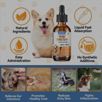 MedyDOGS - Yeast Infection Relief for Dogs – Advanced Liquid Formula